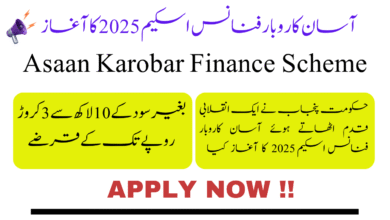 Asaan Karobar Finance Scheme 2025 || Interest-Free Business Loans in Punjab