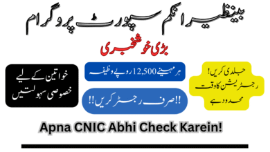 Benazir Income Support Program