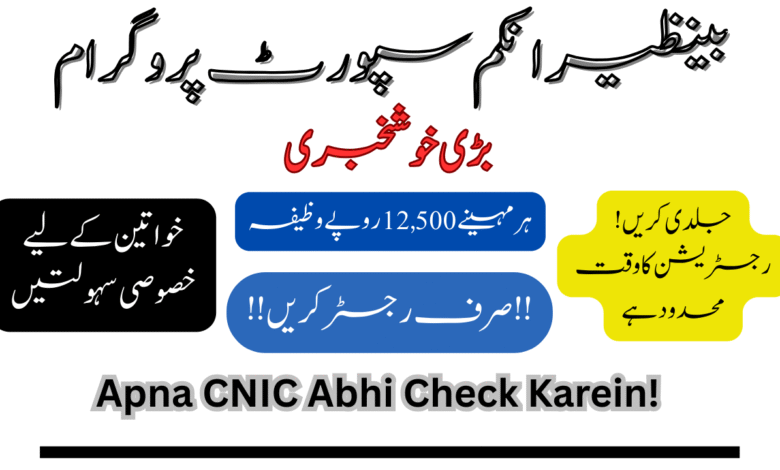 Benazir Income Support Program