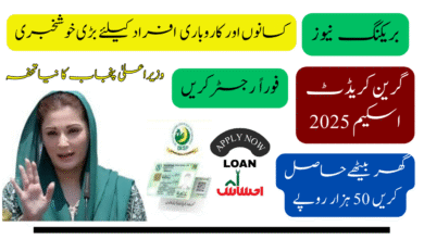 CM Punjab Green Credit Scheme 2025