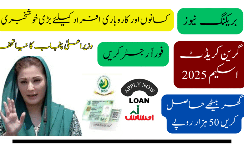 CM Punjab Green Credit Scheme 2025