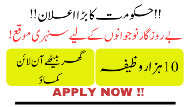 Digital Hunar Rozgar Program