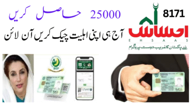 Ehsaas Program CNIC Check Online Registration February 2025
