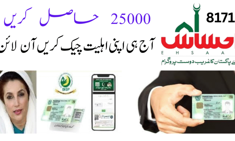 Ehsaas Program CNIC Check Online Registration February 2025