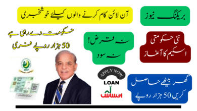 Home-Based Workers Scheme 2025