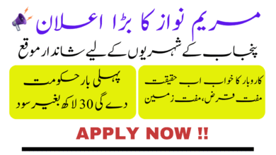 How to Get Interest-Free Business Loans in Punjab || Asaan Karobar Finance Scheme 2025