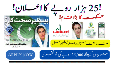 New Ehsaas Program 2025 Launched