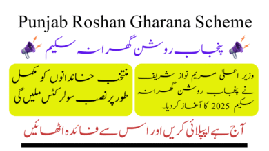 Punjab Roshan Gharana Scheme 2025 Free Solar Panels for Low-Income Families in Punjab