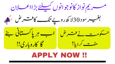Start Your Business with Zero-Interest Loans || Punjab Government’s Latest Initiative