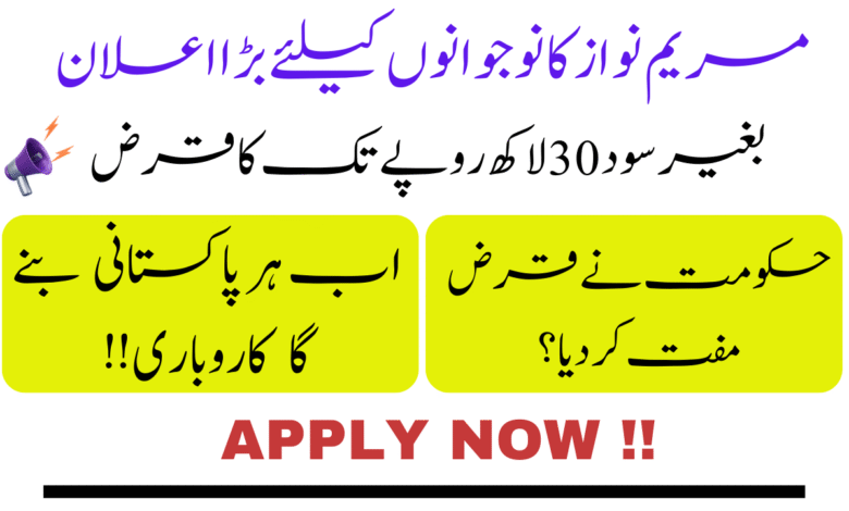 Start Your Business with Zero-Interest Loans || Punjab Government’s Latest Initiative