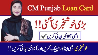 CM Punjab Asaan Karobar Card Scheme 2025 || Asaan Karobar Loan Check Your Card Online, bisp4u