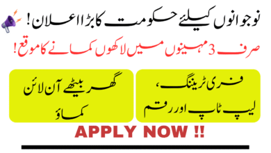 Youth Freelance Program 2025