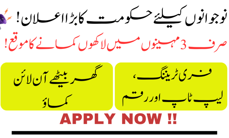 Youth Freelance Program 2025